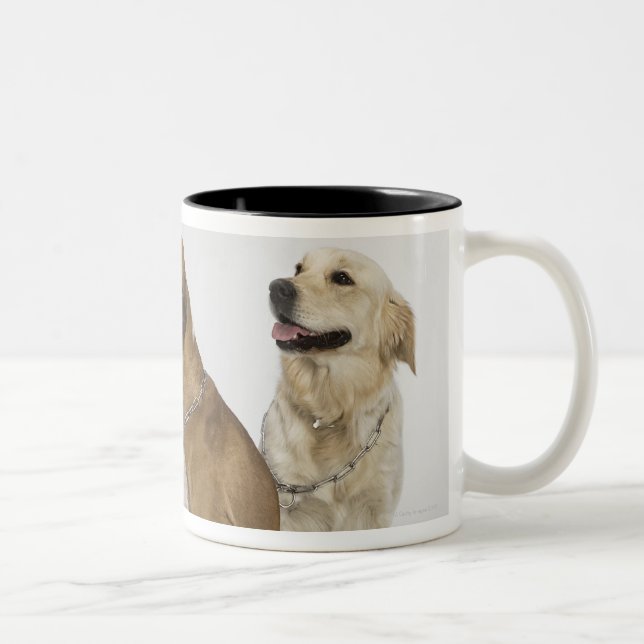 three dogs all looking to the right Two-Tone coffee mug (Right)
