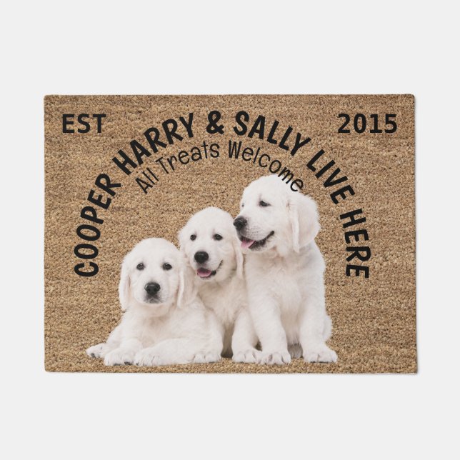 Three Dogs Personalized Dog Lover Doormat (Front)