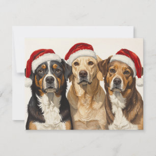 Three Dogs Santa Hats Merry Christmas Trio Holiday Card