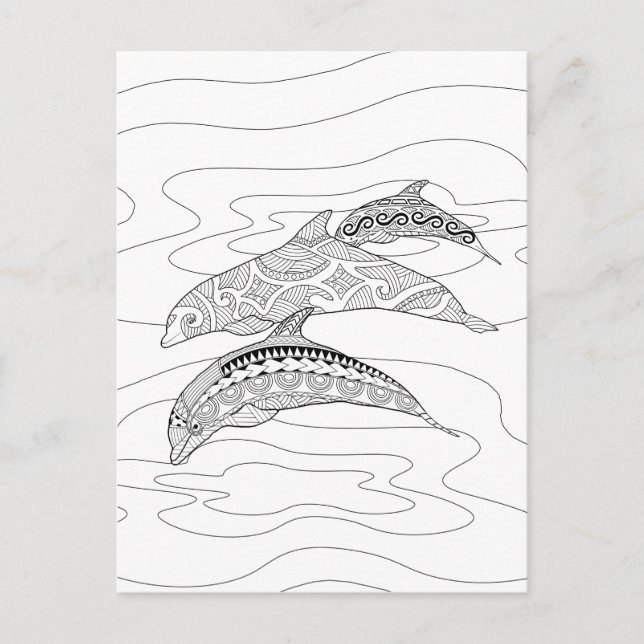Three Dolphins Adult Colouring Postcard (Front)