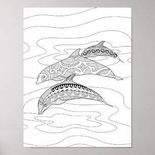 Three Dolphins Adult Colouring Poster
