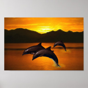 Three dolphins at sunset poster