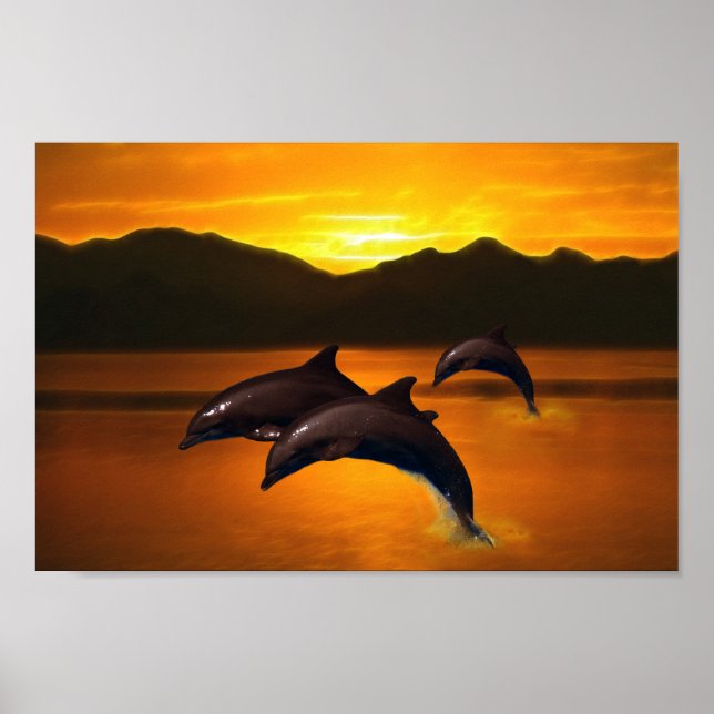 Three dolphins at sunset poster (Front)