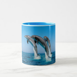 three dolphins Two-Tone coffee mug