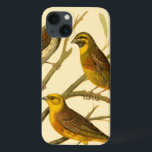 Three Domestic Birds Perched on a Branch iPhone 13 Case<br><div class="desc">Artist W. Rutledge captured perfectly the vivid colours of those domestic birds. Get this simple yet beautifully realistic painting. Side view of two yellow birds and one darker bird on a branch and looking in different directions.</div>