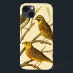 Three Domestic Birds Perched on a Branch iPhone 13 Case<br><div class="desc">Artist W. Rutledge captured perfectly the vivid colours of those domestic birds. Get this simple yet beautifully realistic painting. Side view of two yellow birds and one darker bird on a branch and looking in different directions.</div>