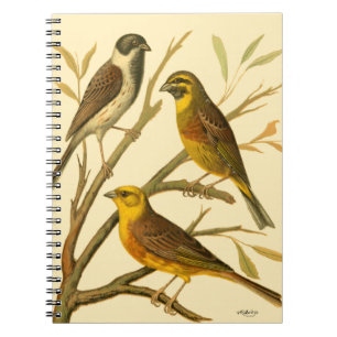 Three Domestic Birds Perched on a Branch Notebook