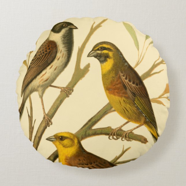 Three Domestic Birds Perched on a Branch Round Pillow (Front)
