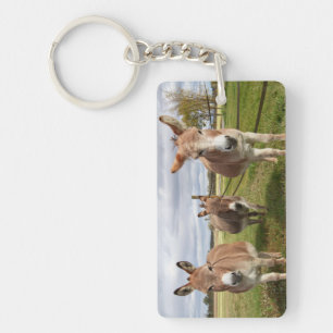 Three Donkey’s Keychain