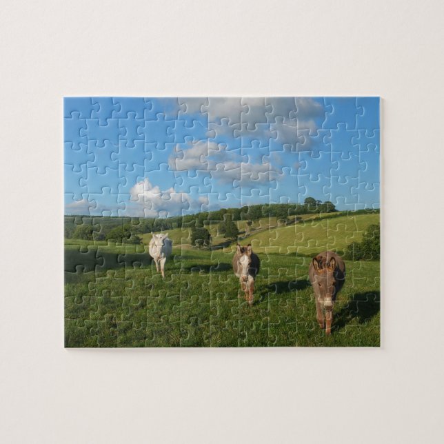 Three Donkeys in a Field Jigsaw Puzzle (Horizontal)