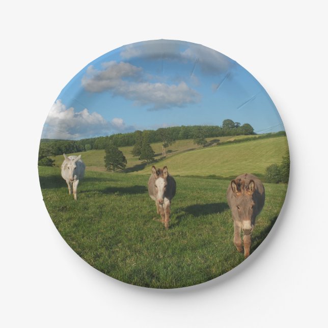 Three Donkeys in a Field Paper Plate (Front)