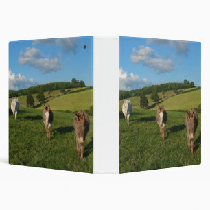 Three Donkeys in a Field Photograph Binder