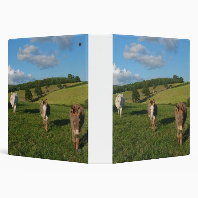 Three Donkeys in a Field Photograph Binder (Background)