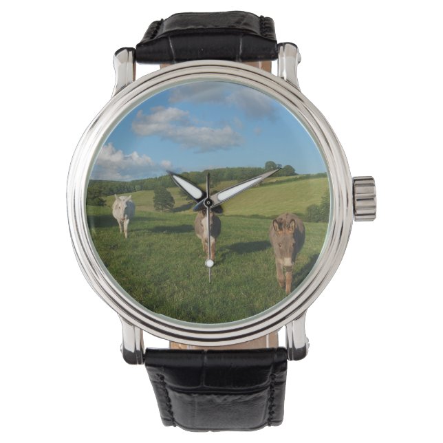 Three Donkeys in a Field Watch (Front)