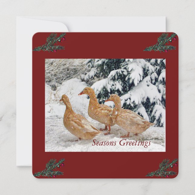 Three Duck Parade In Snowstorm Holiday Postcard (Front)