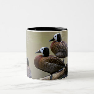 Three Ducks On A Log Mug