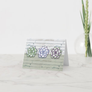 Three Echeveria Succulents Plants on Light Grey Note Card