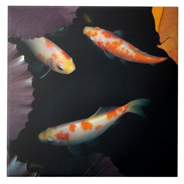 Three elegant koi in water lily pond tile (Front)