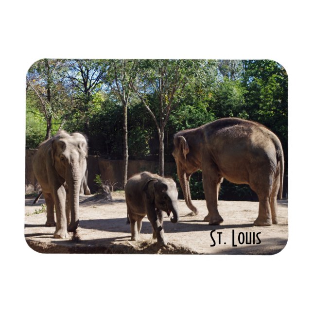 Three Elephants Magnet (Horizontal)