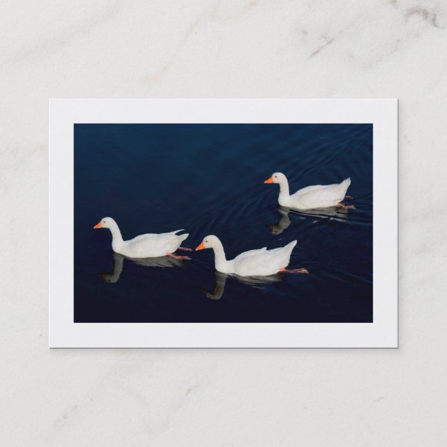 Three Emden Geese (Bordered) Business Card (Front)
