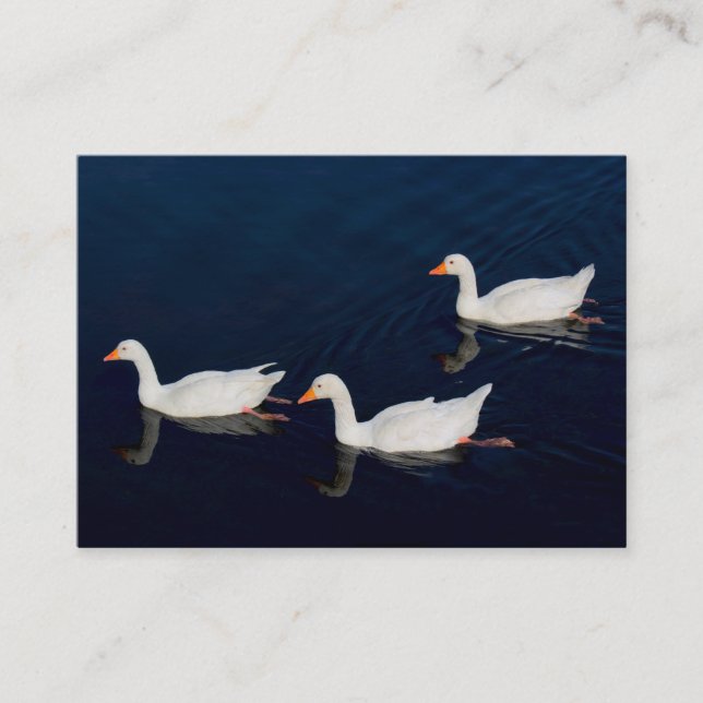 Three Emden Geese Business Card (Front)