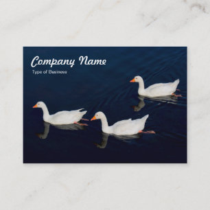 Three Emden Geese Business Card