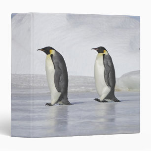 Three Emperor Penguins, Snow Hill Island Binder