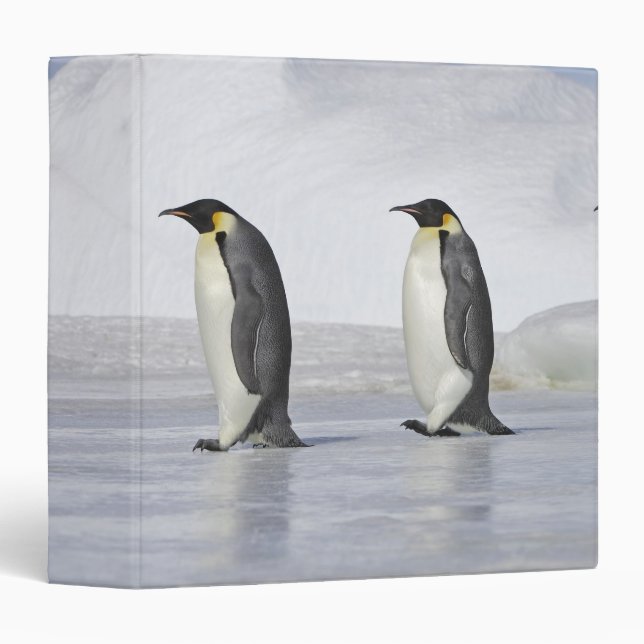 Three Emperor Penguins, Snow Hill Island Binder (Front/Spine)