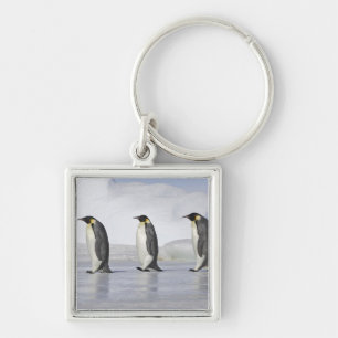 Three Emperor Penguins, Snow Hill Island Keychain