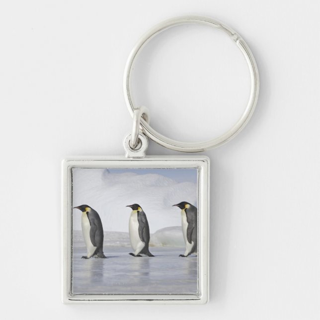 Three Emperor Penguins, Snow Hill Island Keychain (Front)