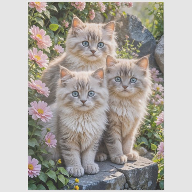 Three Fluffy  Kittens with in pink Mums Tissue Paper (Front)