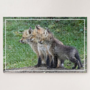 Three Fox Kits Jigsaw Puzzle