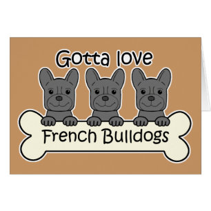 Three French Bulldogs