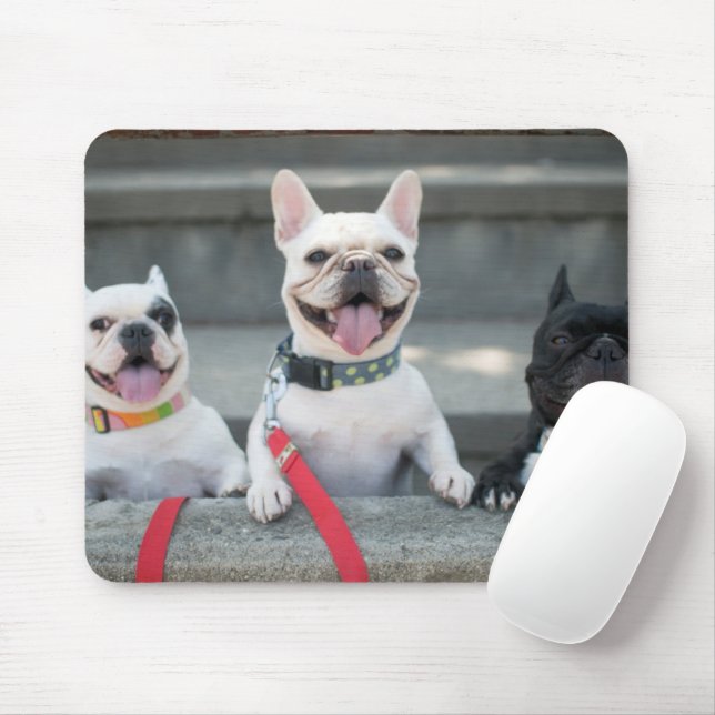 Three French Bulldogs Mouse Pad (With Mouse)