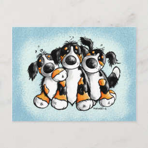 Three Funny Bernese Mountain Dogs Postcard