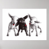 Three Funny Cheeky Sheep