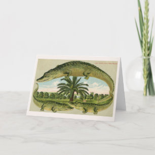 Three Gators & a Palm Tree Card