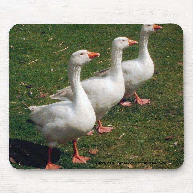Three Geese a Strutting - Mousemat. Customise. Mouse Pad (Front)