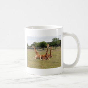 Three Giraffe at Fossil Rim Coffee Mug