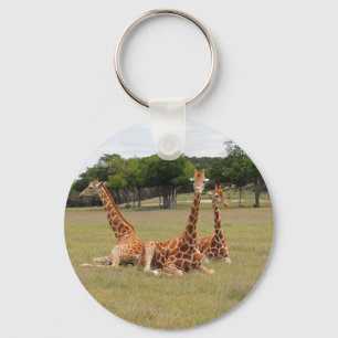 Three Giraffe at Fossil Rim Keychain