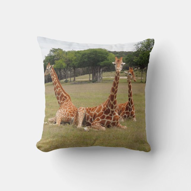 Three Giraffe at Fossil Rim Throw Pillow (Front)