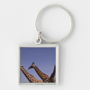Three giraffes keychain
