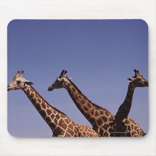 Three giraffes mouse pad (Front)