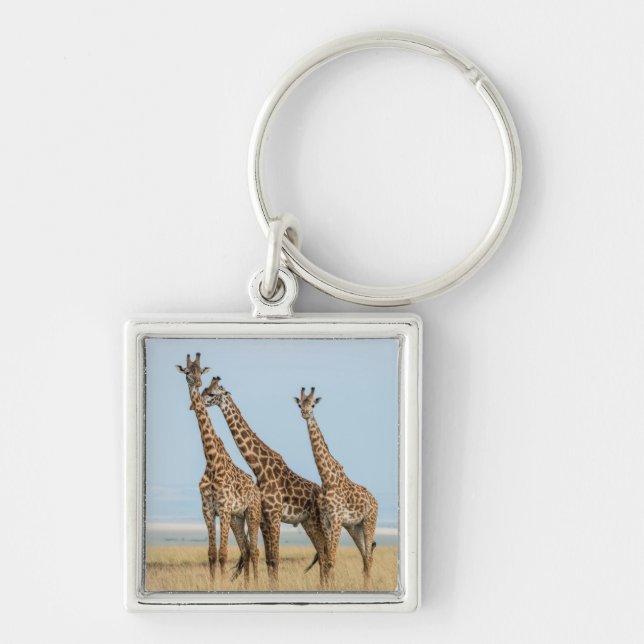 Three Giraffes Posing Keychain (Front)