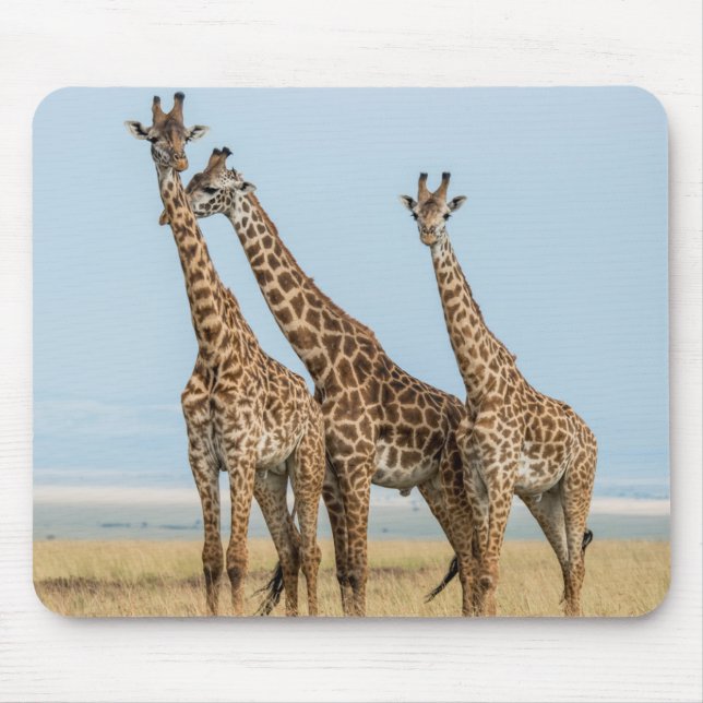 Three Giraffes Posing Mouse Pad (Front)