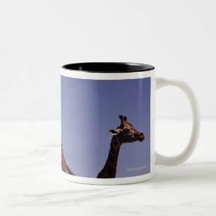Three giraffes Two-Tone coffee mug