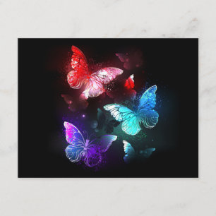 Three Glowing Butterflies on night background Advice Card