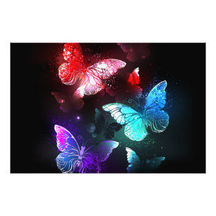 Three Glowing Butterflies on night background Photo Print