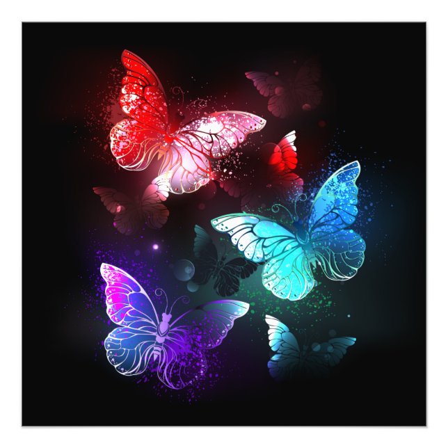 Three Glowing Butterflies on night background Photo Print (Front)