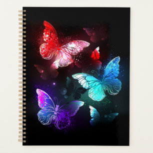 Three Glowing Butterflies on night background Planner